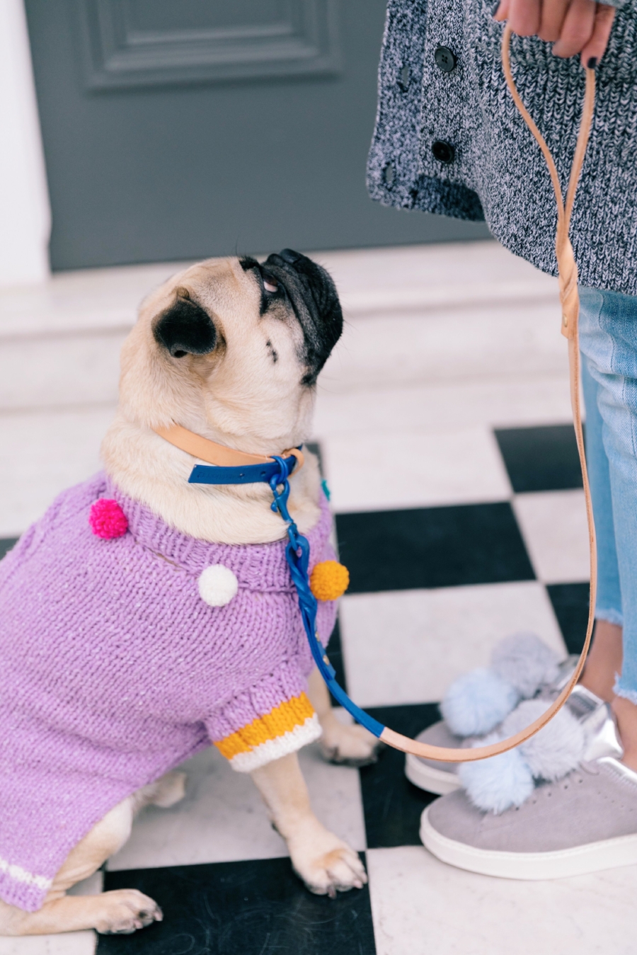 humanandhound-twinning-fashion-london-twinningiswinning-ariandm-spring-dogfashion-stylishdogs-bestdresseddog-pug-pugfashion-dogsinclothes-springjumper-best-dogfashionblog-dogblog-bestdogblog-topdogblog-humanandhoundblog-bestdogbloginlondon-streetstyle-londonstreetstyle-humanandhoundstreetstyle