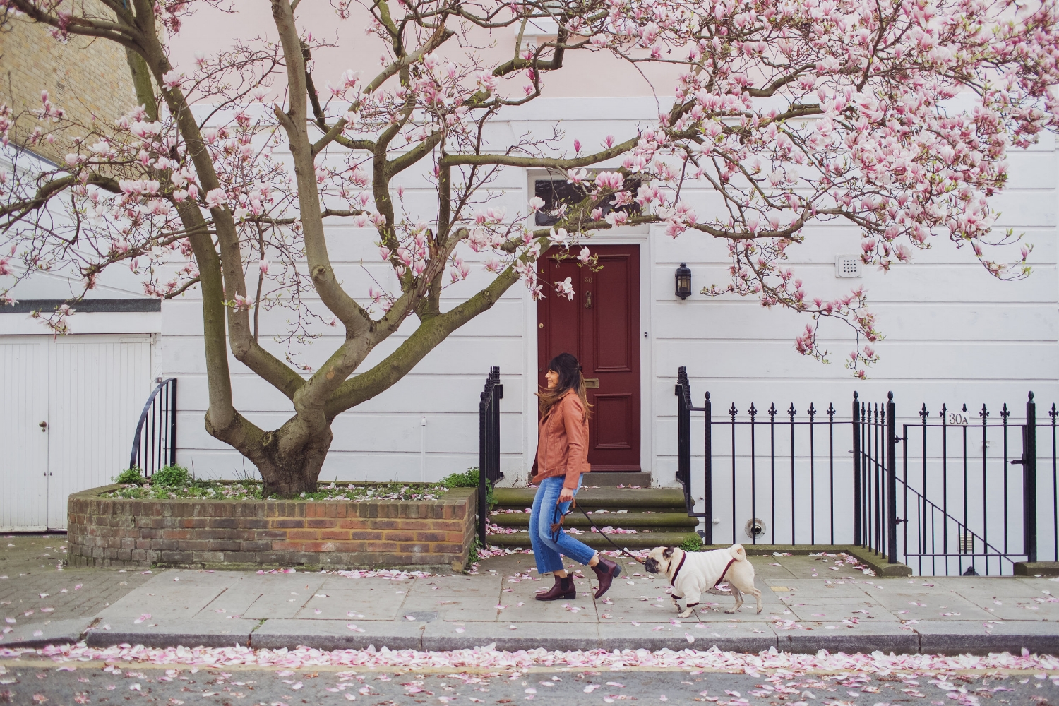 london-spring-magnolia-blossom-spring2017-springfashion-springstyle-puginclothes-bestdogblog-humanandhoundfashion-petfashionblog-dogfashionblog-humanandhoundblog-londonblogger-uk-clesea-pink-dogfriendly-dogblog-topdogblog-twinning-style-best