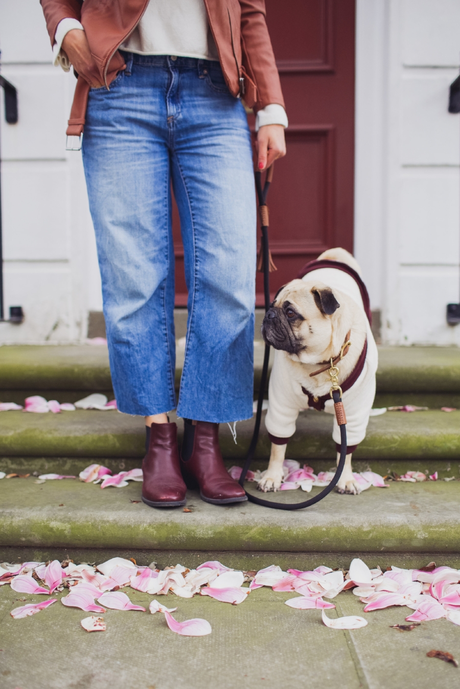 london-spring-magnolia-blossom-spring2017-springfashion-springstyle-puginclothes-bestdogblog-humanandhoundfashion-petfashionblog-dogfashionblog-humanandhoundblog-londonblogger-uk-clesea-pink-dogfriendly-dogblog-topdogblog-twinning-style-best