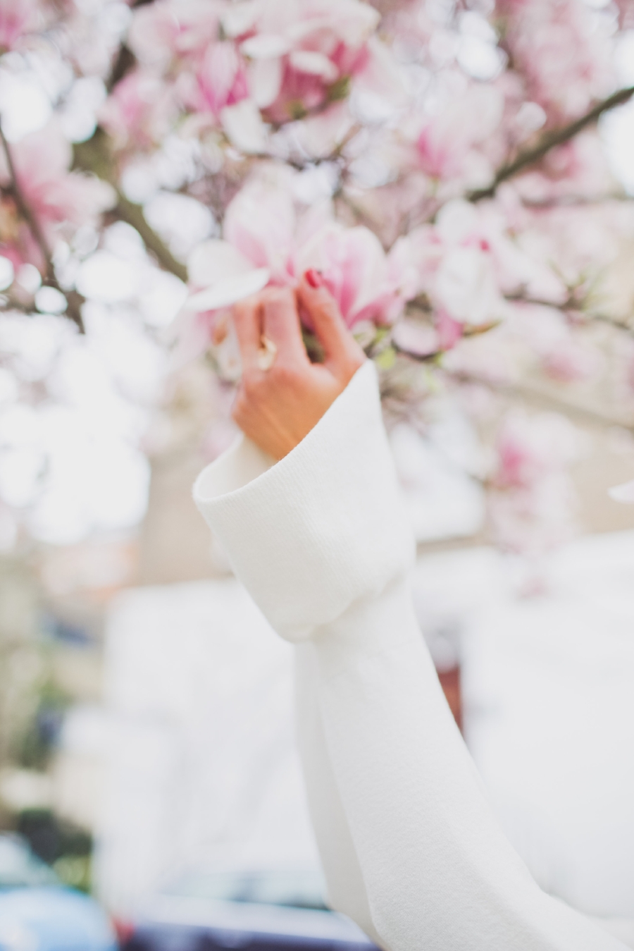 london-spring-magnolia-blossom-spring2017-springfashion-springstyle-puginclothes-bestdogblog-humanandhoundfashion-petfashionblog-dogfashionblog-humanandhoundblog-londonblogger-uk-clesea-pink-dogfriendly-dogblog-topdogblog-twinning-style-best