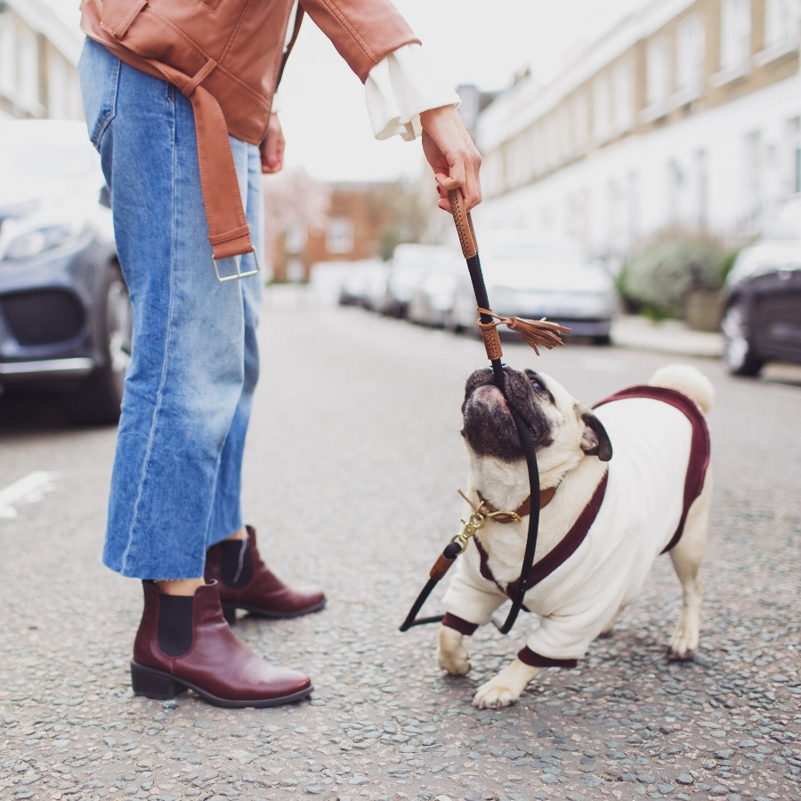 london-spring-magnolia-blossom-spring2017-springfashion-springstyle-puginclothes-bestdogblog-humanandhoundfashion-petfashionblog-dogfashionblog-humanandhoundblog-londonblogger-uk-clesea-pink-dogfriendly-dogblog-topdogblog-twinning-style-best