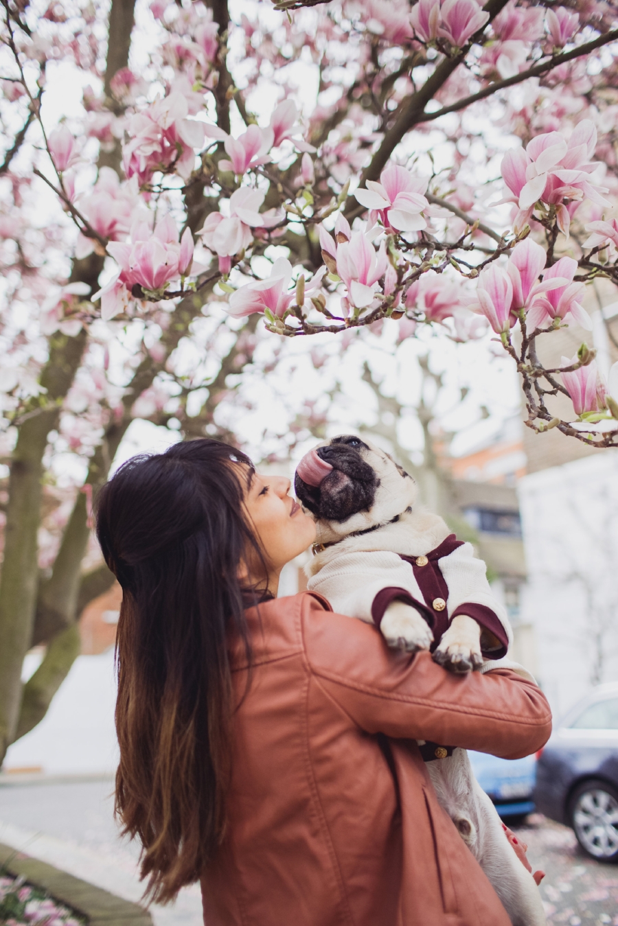 london-spring-magnolia-blossom-spring2017-springfashion-springstyle-puginclothes-bestdogblog-humanandhoundfashion-petfashionblog-dogfashionblog-humanandhoundblog-londonblogger-uk-clesea-pink-dogfriendly-dogblog-topdogblog-twinning-style-best