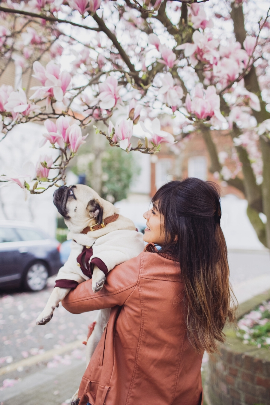 london-spring-magnolia-blossom-spring2017-springfashion-springstyle-puginclothes-bestdogblog-humanandhoundfashion-petfashionblog-dogfashionblog-humanandhoundblog-londonblogger-uk-clesea-pink-dogfriendly-dogblog-topdogblog-twinning-style-best