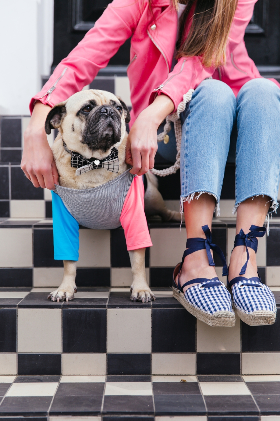 dogfashion-dogtrends-humanandhoundfashion-humanandhoundstyle-twinning-dogandhumanstyle-twinningwithyourdog-dogfashionblog-petfashionblog-bestdresseddog-bestdogblog-london-springinlondon-wisteriahysteria-springfever-pinkbikerjacket-tasselearrings-neon-wisteriaseason-purple-cooldogs-coolpooch-puppyfashion-dogsinclothes-puginclothes-cooldogblog-ootd-instagraminfluencer-petinfluencer-doginfluencer