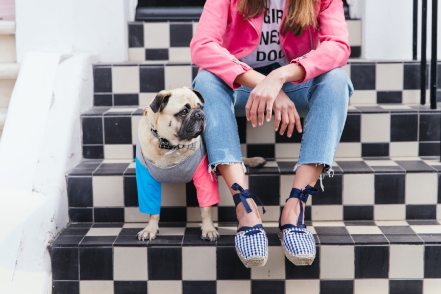 dogfashion-dogtrends-humanandhoundfashion-humanandhoundstyle-twinning-dogandhumanstyle-twinningwithyourdog-dogfashionblog-petfashionblog-bestdresseddog-bestdogblog-london-springinlondon-wisteriahysteria-springfever-pinkbikerjacket-tasselearrings-neon-wisteriaseason-purple-cooldogs-coolpooch-puppyfashion-dogsinclothes-puginclothes-cooldogblog-ootd-instagraminfluencer-petinfluencer-doginfluencer