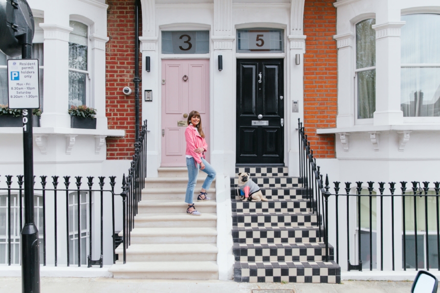 dogfashion-dogtrends-humanandhoundfashion-humanandhoundstyle-twinning-dogandhumanstyle-twinningwithyourdog-dogfashionblog-petfashionblog-bestdresseddog-bestdogblog-london-springinlondon-wisteriahysteria-springfever-pinkbikerjacket-tasselearrings-neon-wisteriaseason-purple-cooldogs-coolpooch-puppyfashion-dogsinclothes-puginclothes-cooldogblog-ootd-instagraminfluencer-petinfluencer-doginfluencer