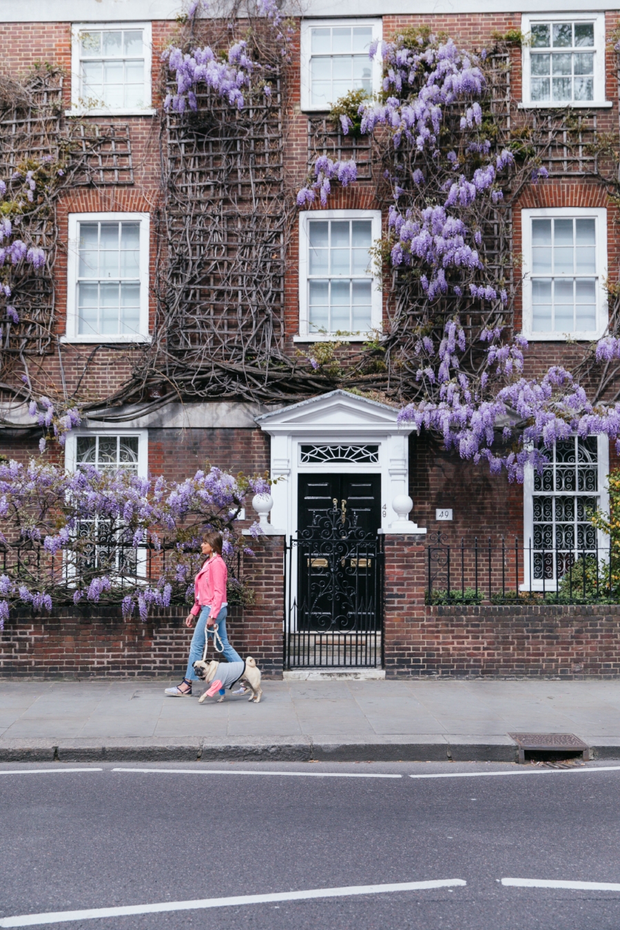 dogfashion-dogtrends-humanandhoundfashion-humanandhoundstyle-twinning-dogandhumanstyle-twinningwithyourdog-dogfashionblog-petfashionblog-bestdresseddog-bestdogblog-london-springinlondon-wisteriahysteria-springfever-pinkbikerjacket-tasselearrings-neon-wisteriaseason-purple-cooldogs-coolpooch-puppyfashion-dogsinclothes-puginclothes-cooldogblog-ootd-instagraminfluencer-petinfluencer-doginfluencer