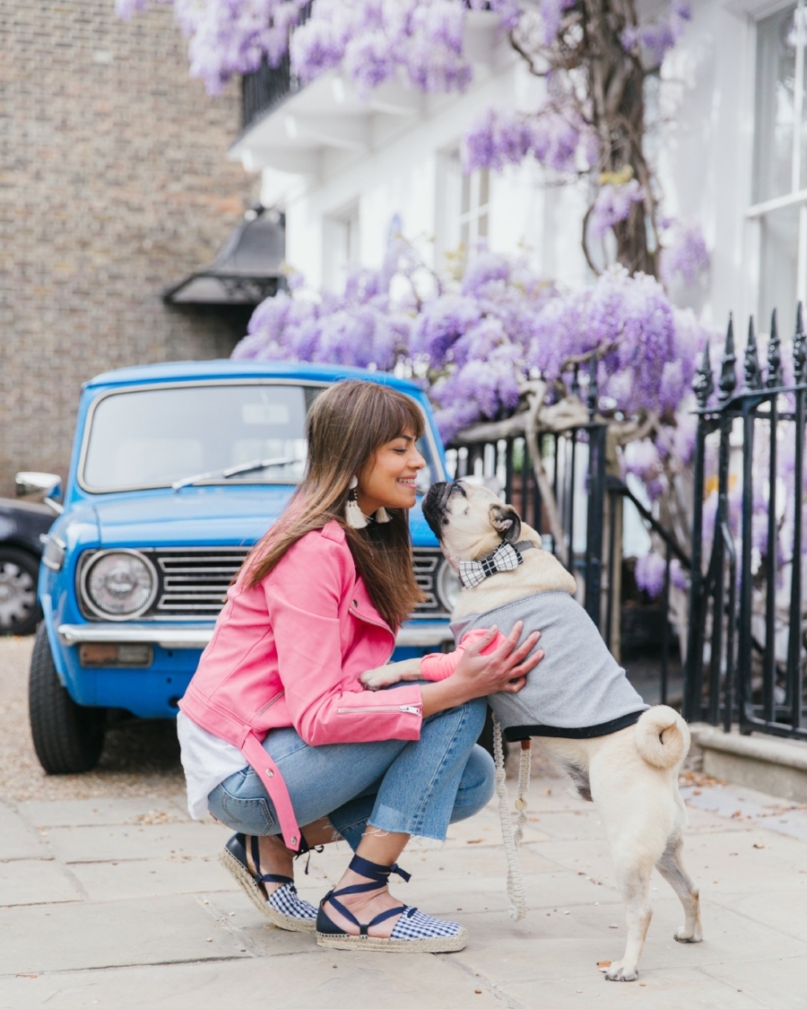 dogfashion-dogtrends-humanandhoundfashion-humanandhoundstyle-twinning-dogandhumanstyle-twinningwithyourdog-dogfashionblog-petfashionblog-bestdresseddog-bestdogblog-london-springinlondon-wisteriahysteria-springfever-pinkbikerjacket-tasselearrings-neon