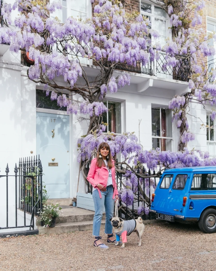 dogfashion-dogtrends-humanandhoundfashion-humanandhoundstyle-twinning-dogandhumanstyle-twinningwithyourdog-dogfashionblog-petfashionblog-bestdresseddog-bestdogblog-london-springinlondon-wisteriahysteria-springfever-pinkbikerjacket-tasselearrings-neon