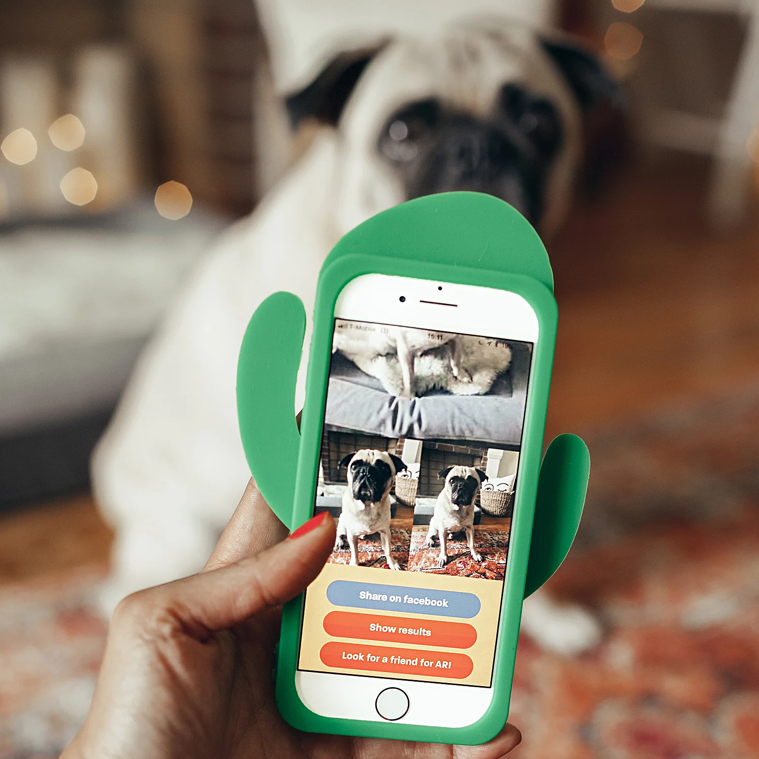 whosmymutter-dogapp-breedrecognitionapp-dogbreedfinder-honeyidressedthepug-influencer-collab-doginfluencer-paidcollab-puglige-dogblog-dogmomblog-dogmom 3.jpg