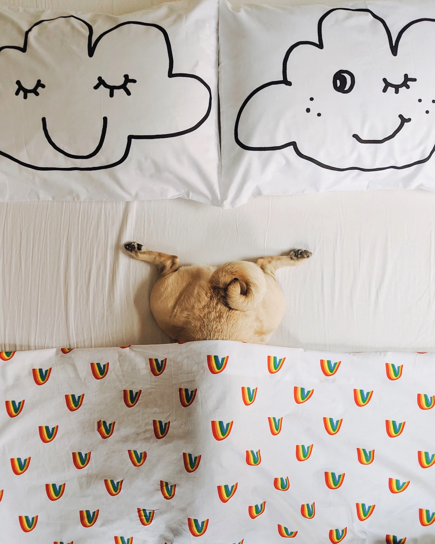 pug-puglife-dogblog-homeinspo-dogfriendly-lifestyle-newyork+2.jpg