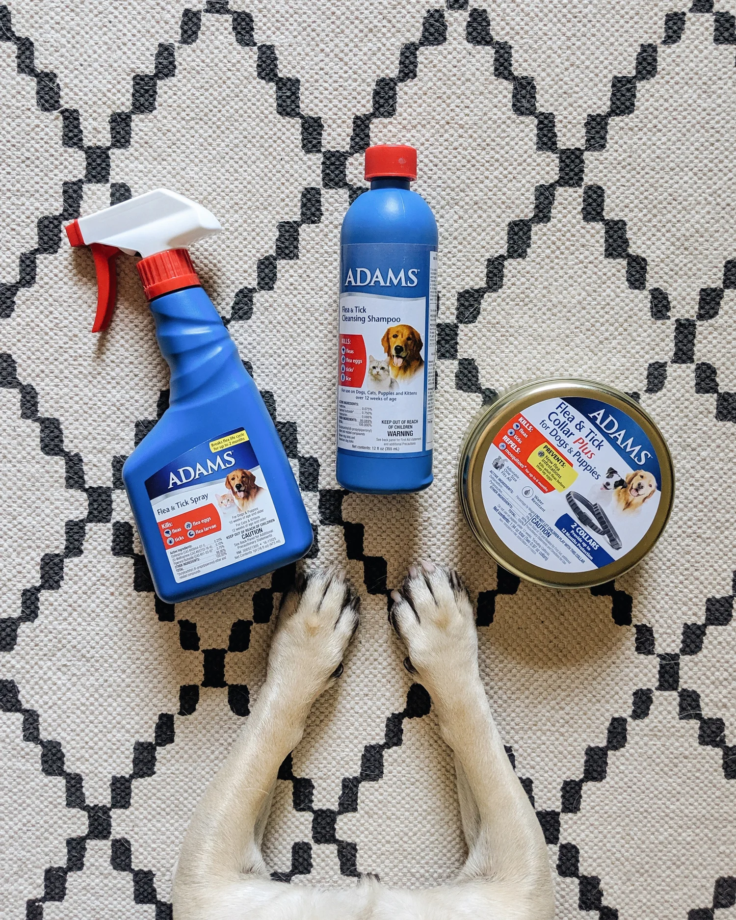 Walmart-fleandtick-dog-grooming-regimen-spring-doghealth-pug-adams-flea-and-tick3.jpg