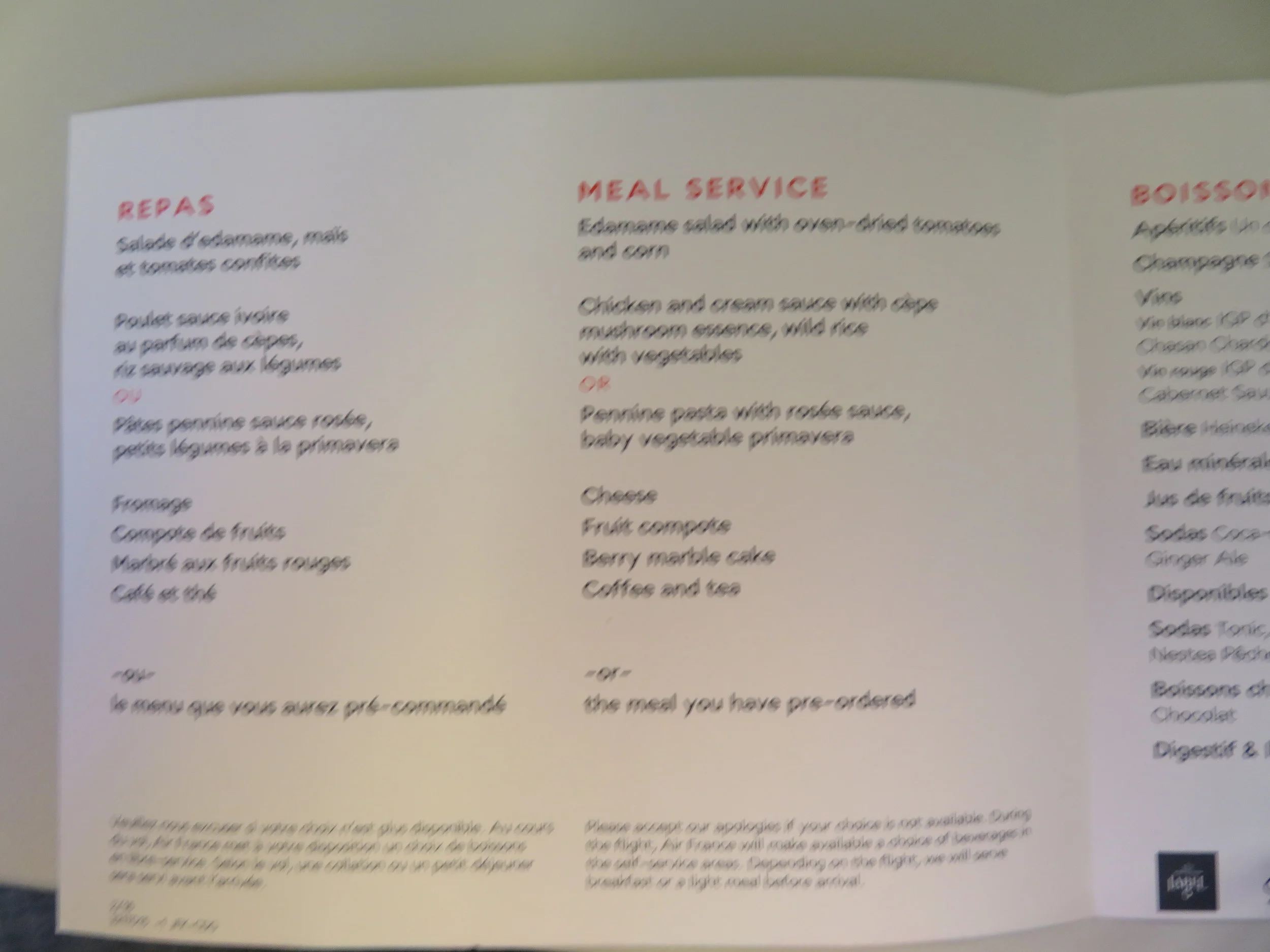 Air France economy dinner menu (My apologies for the quality)