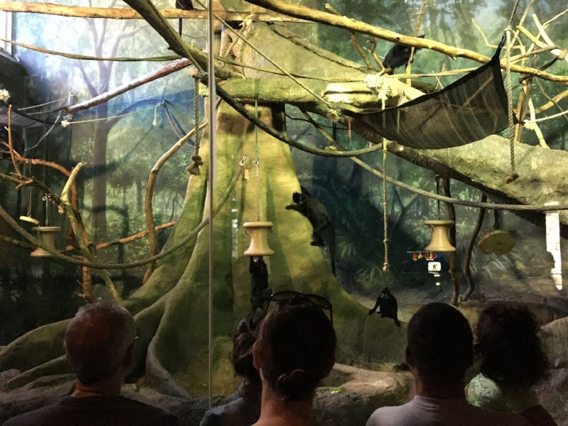 Lincoln Park Zoo