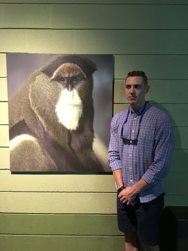 Monkey see, monkey do.