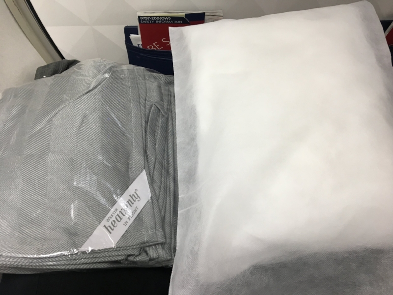 Westin Heavenly blanket & cheap domestic pillow