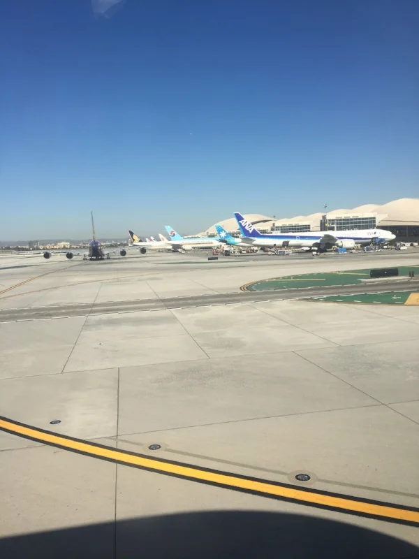 Traffic at Tom Bradley International Terminal