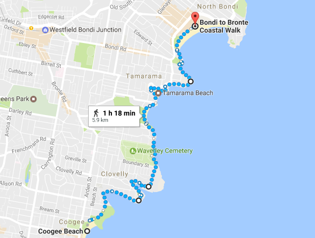 Coogee Beach to Bondi Beach coastal walk