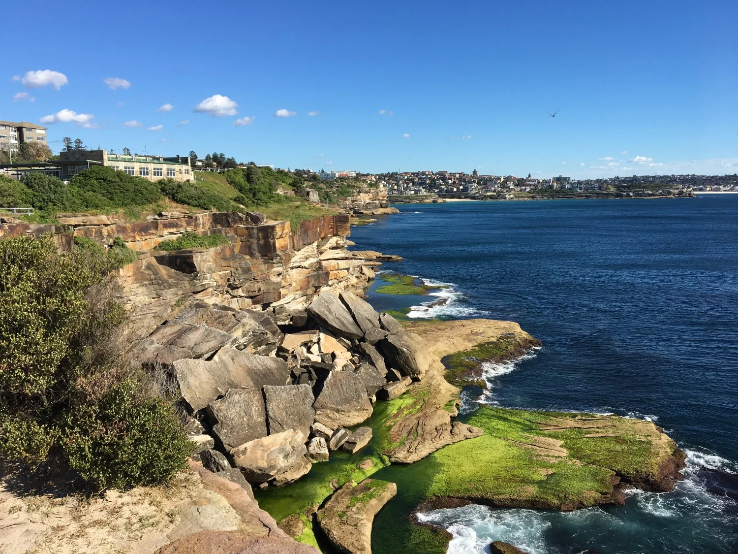 Australian coastal walk