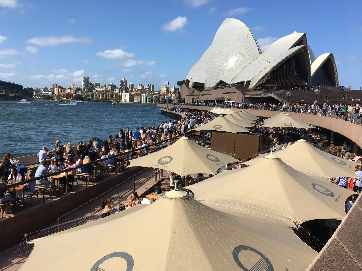 Opera Bar
