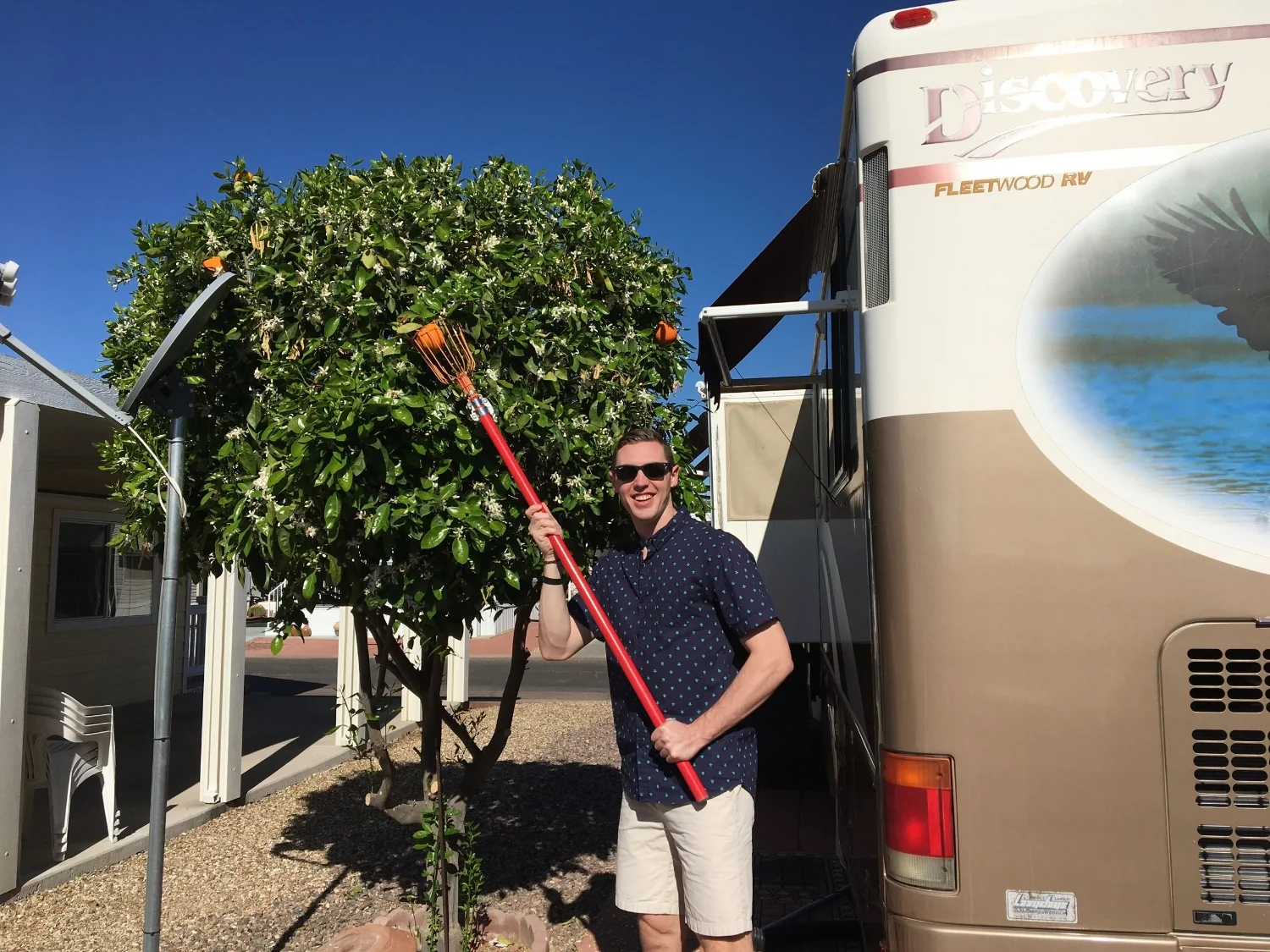 Toting my nifty fruit picker