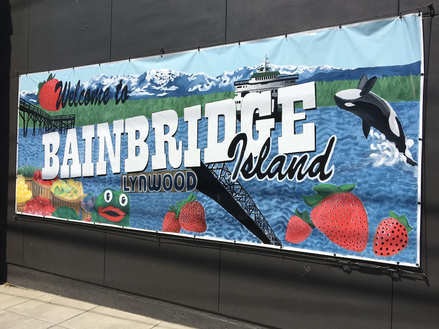 BAINBRIDGE ISLAND