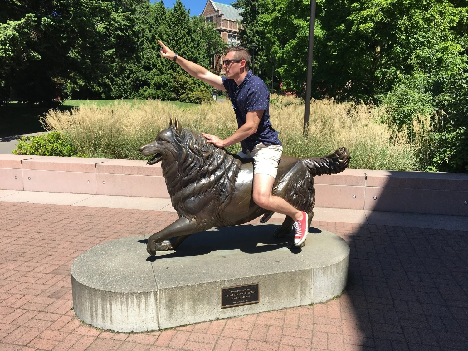 GO HUSKIES!