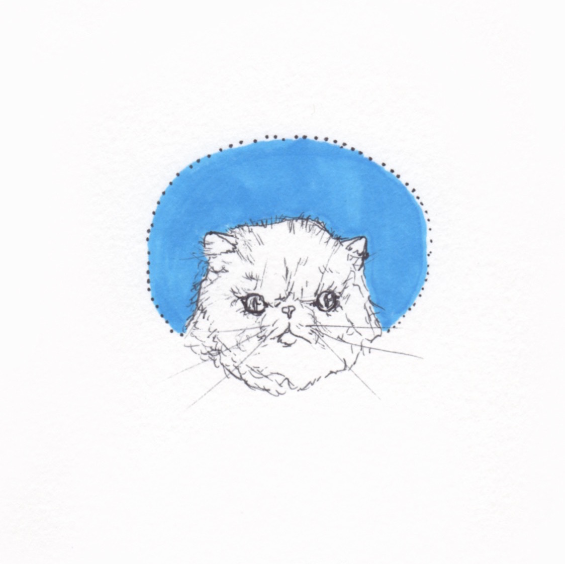 Ali's animals 6.jpg