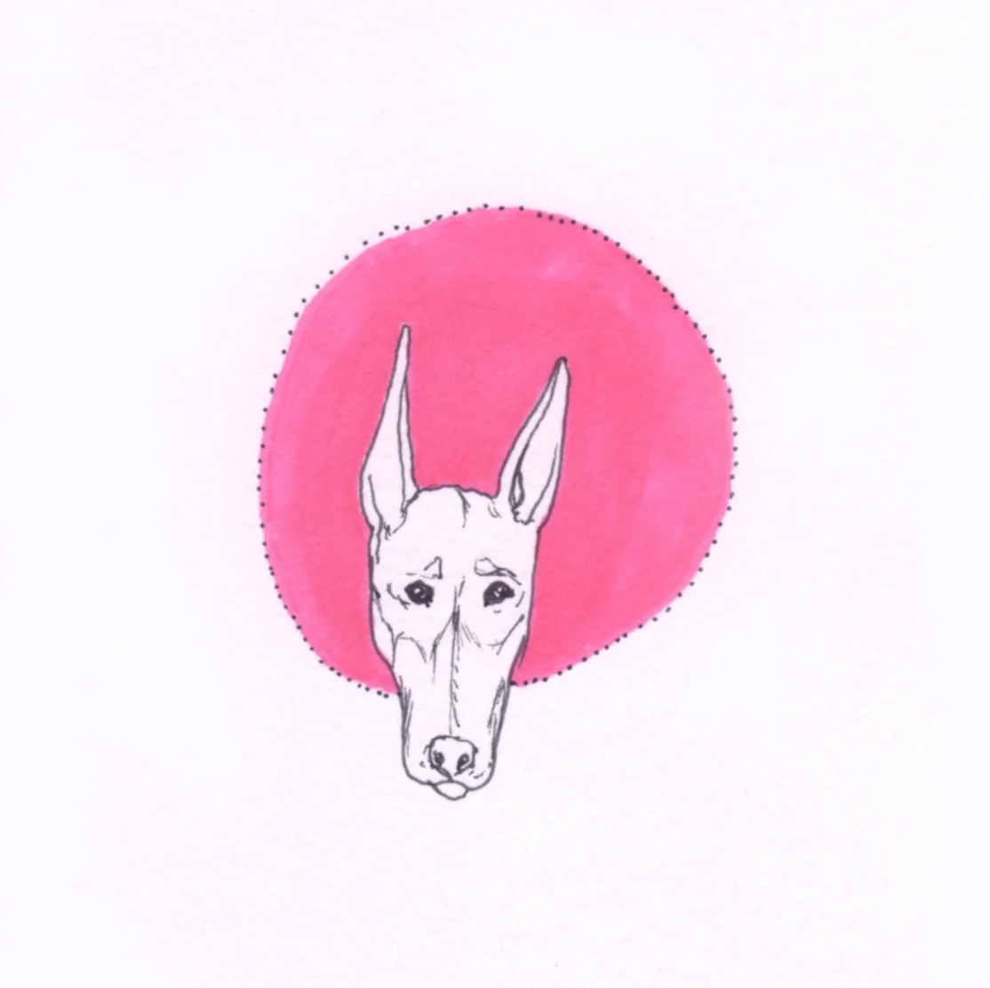 Ali's animals 10.jpg