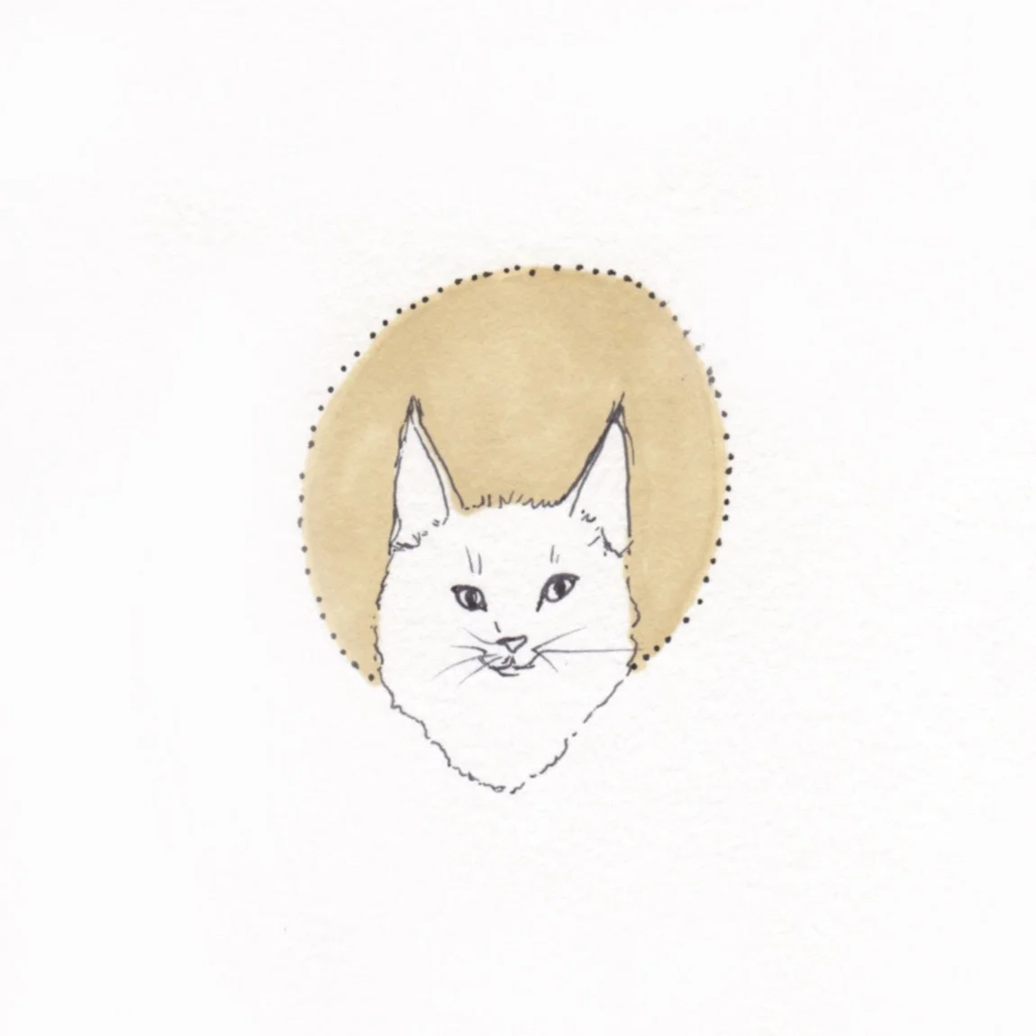 Ali's animals 16.jpg