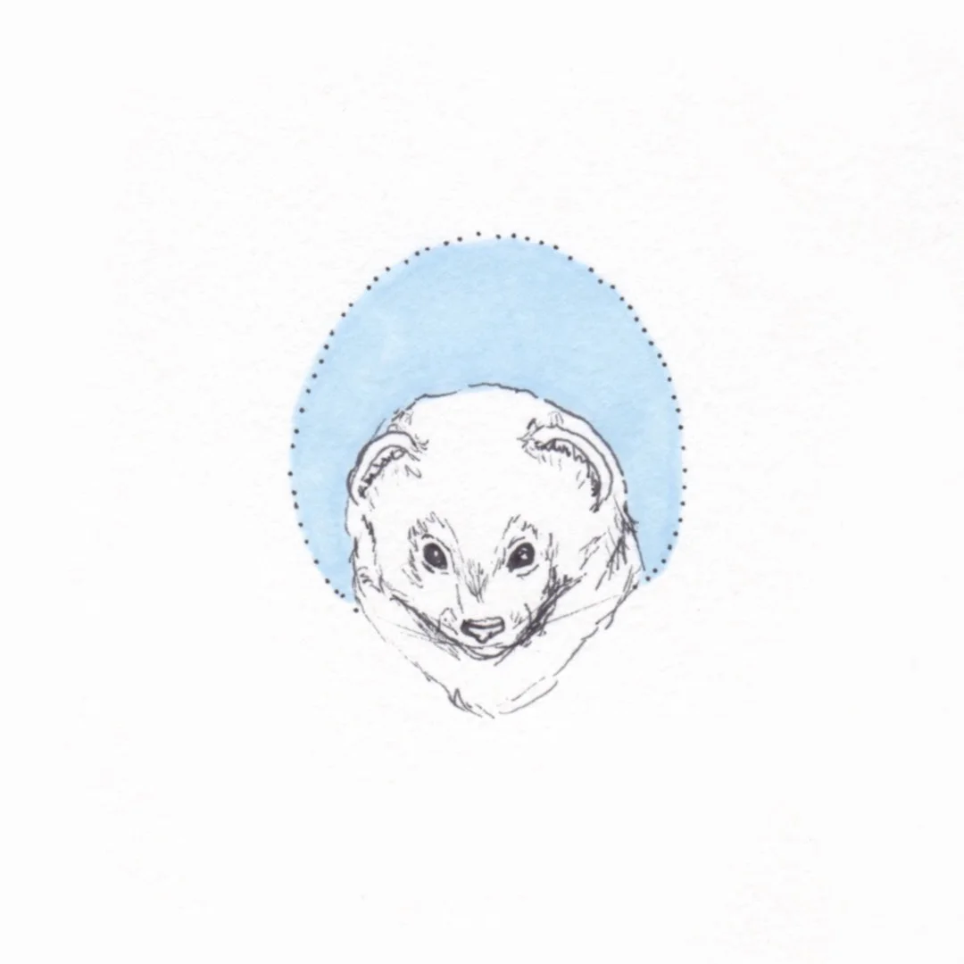 Ali's animals 22.jpg