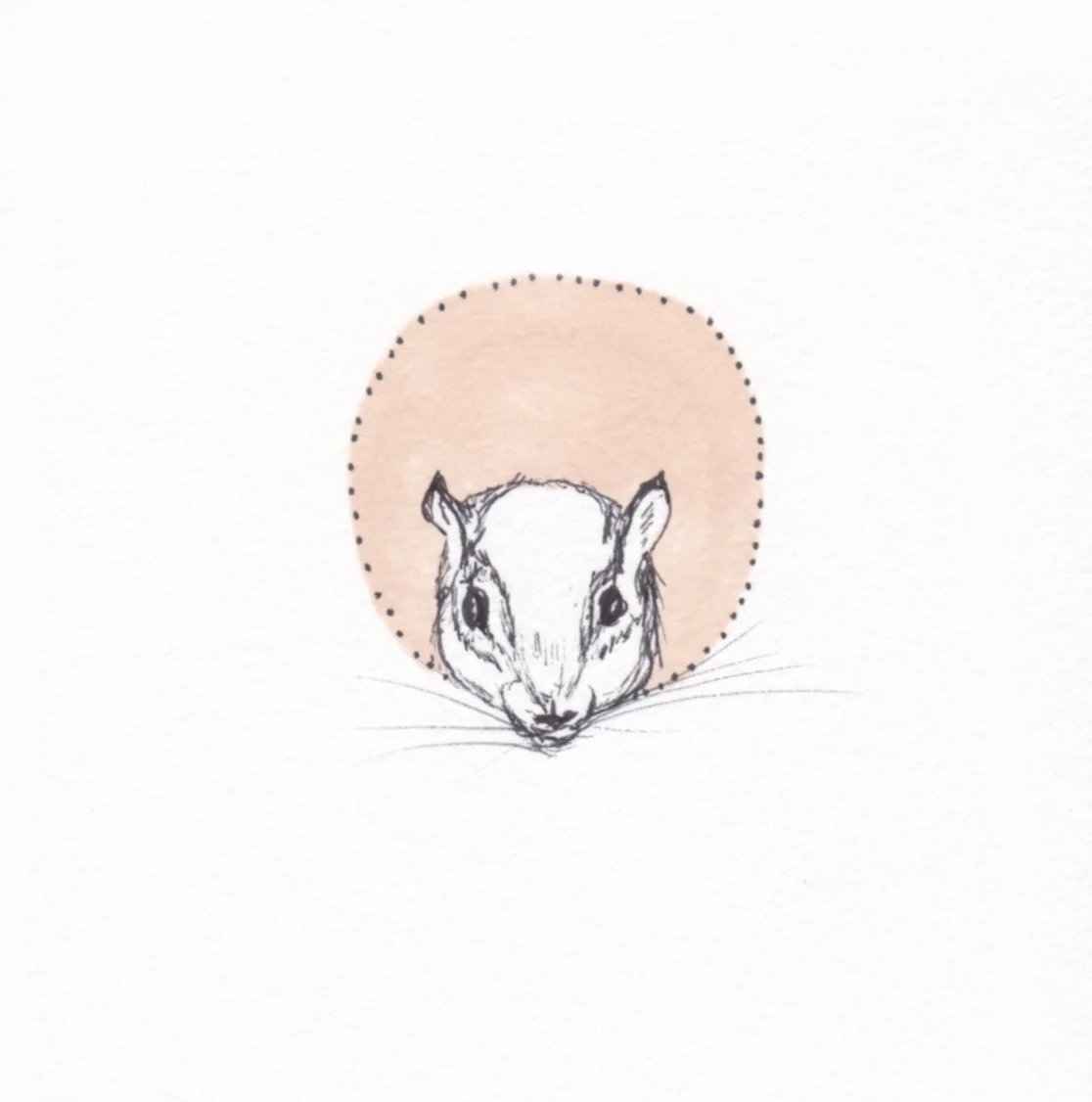 Ali's animals copy.jpg