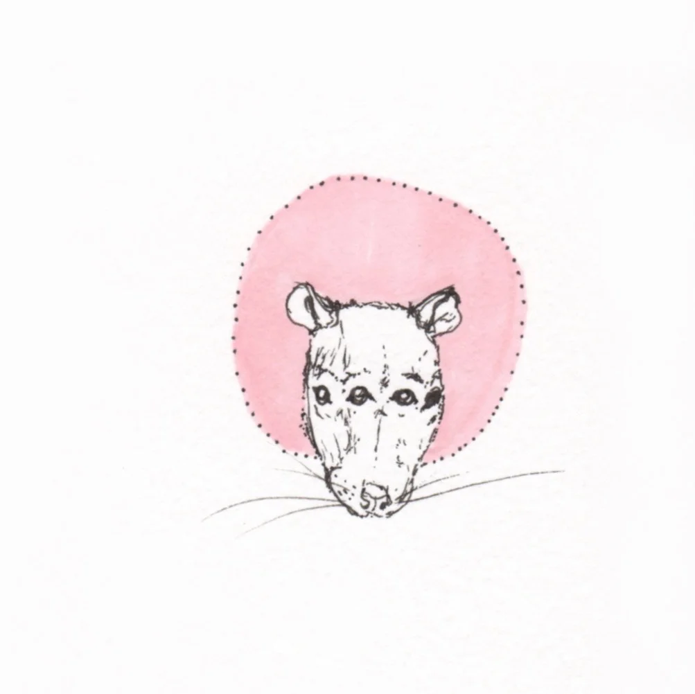 Ali's animals 9.jpg