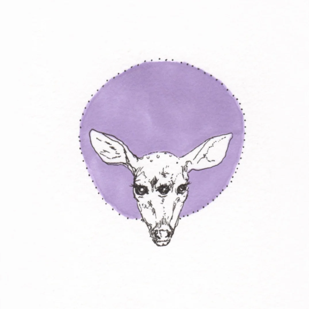 Ali's animals 15.jpg
