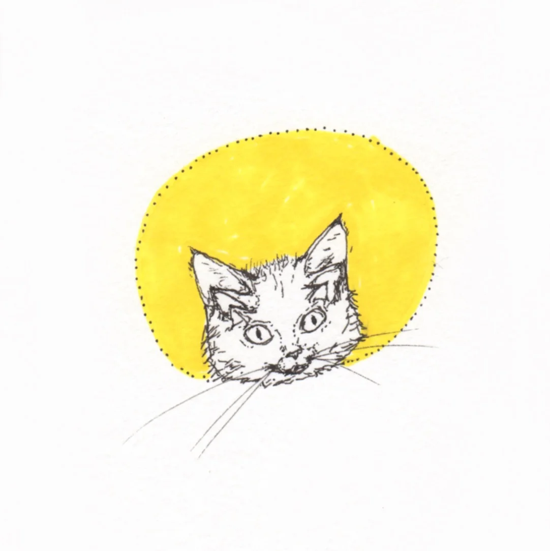 Ali's animals 17.jpg