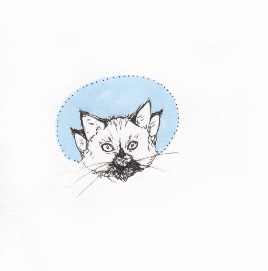 Ali's animals 20.jpg
