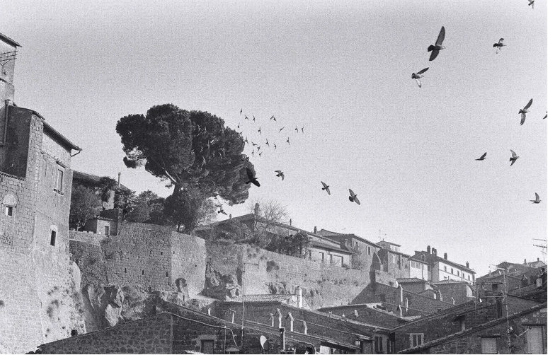 Captura de Tela 2025-12-11 às 23.30.12.png