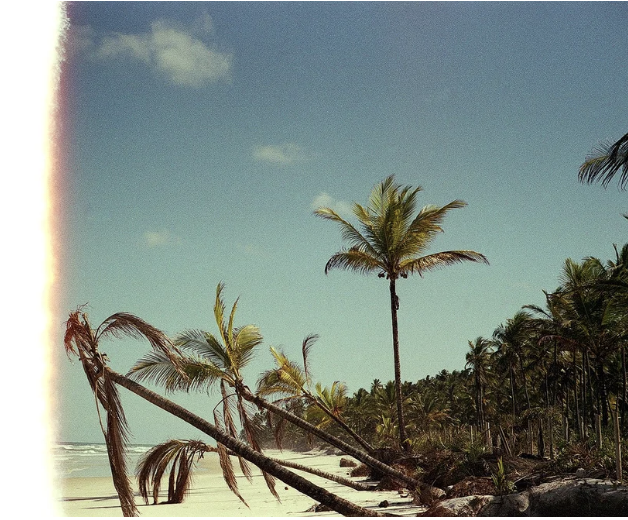 Captura de Tela 2025-12-11 às 23.38.28.png