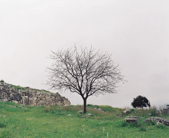 Captura de Tela 2025-12-15 às 18.26.55.png