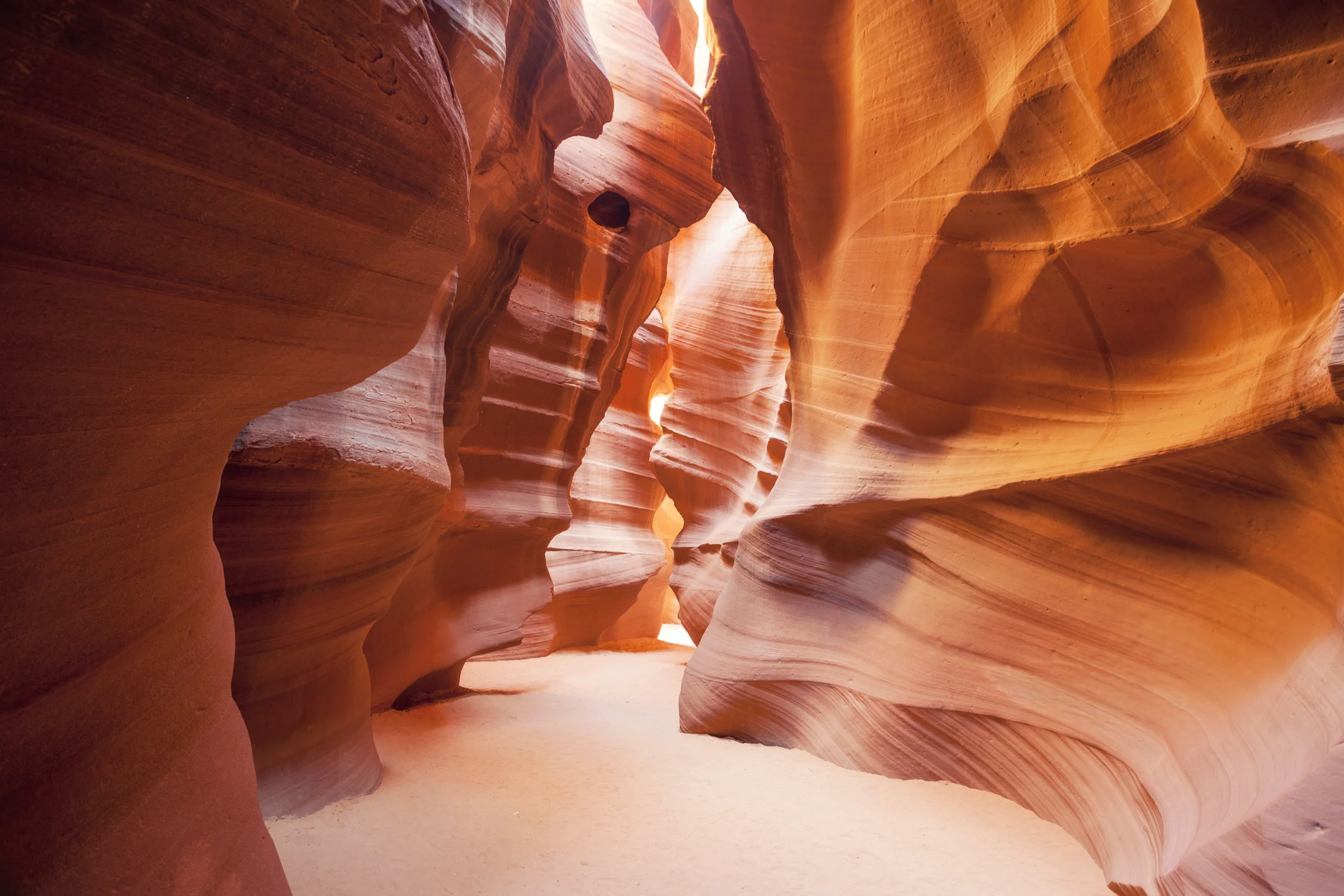 Photo by vwalakte/iStock / Getty Images