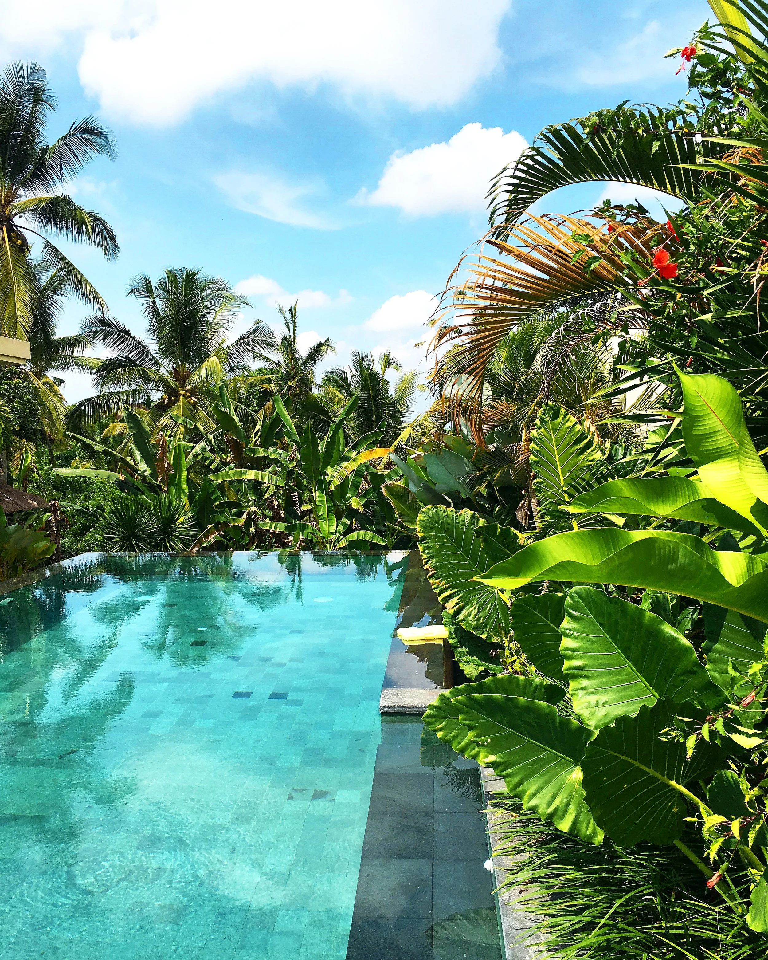 pool