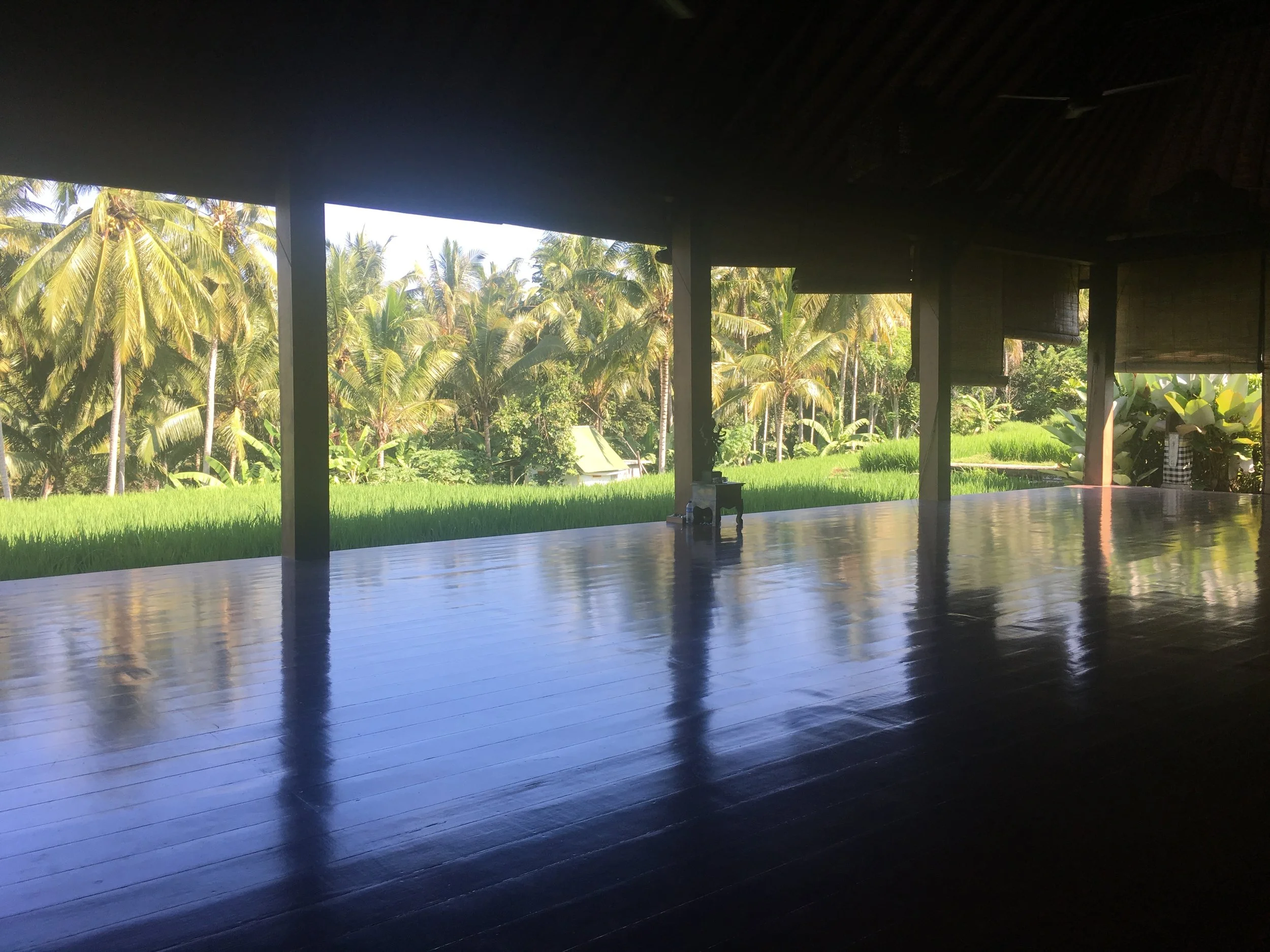 yoga studio