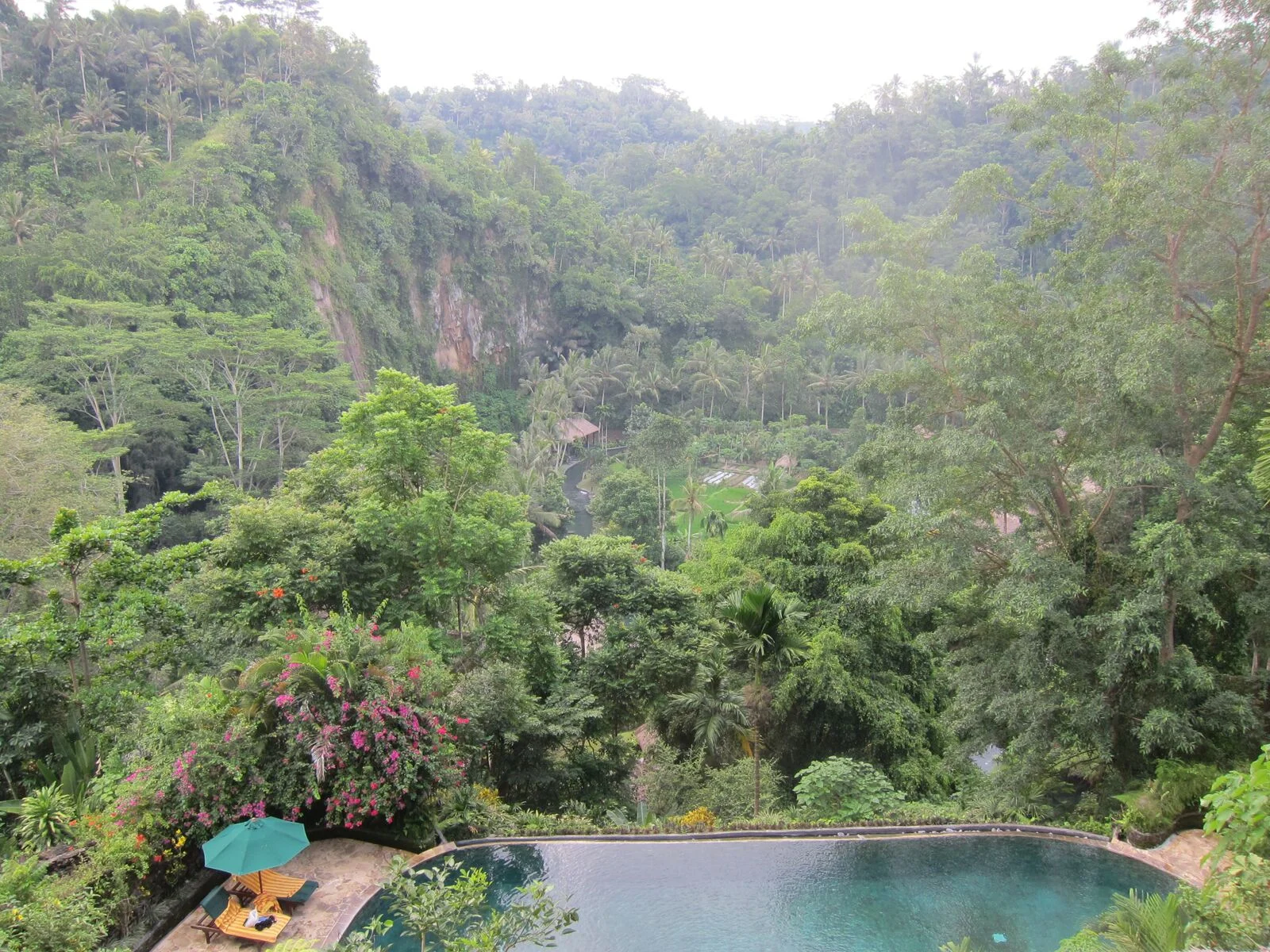 Bali retreat - 167.jpg