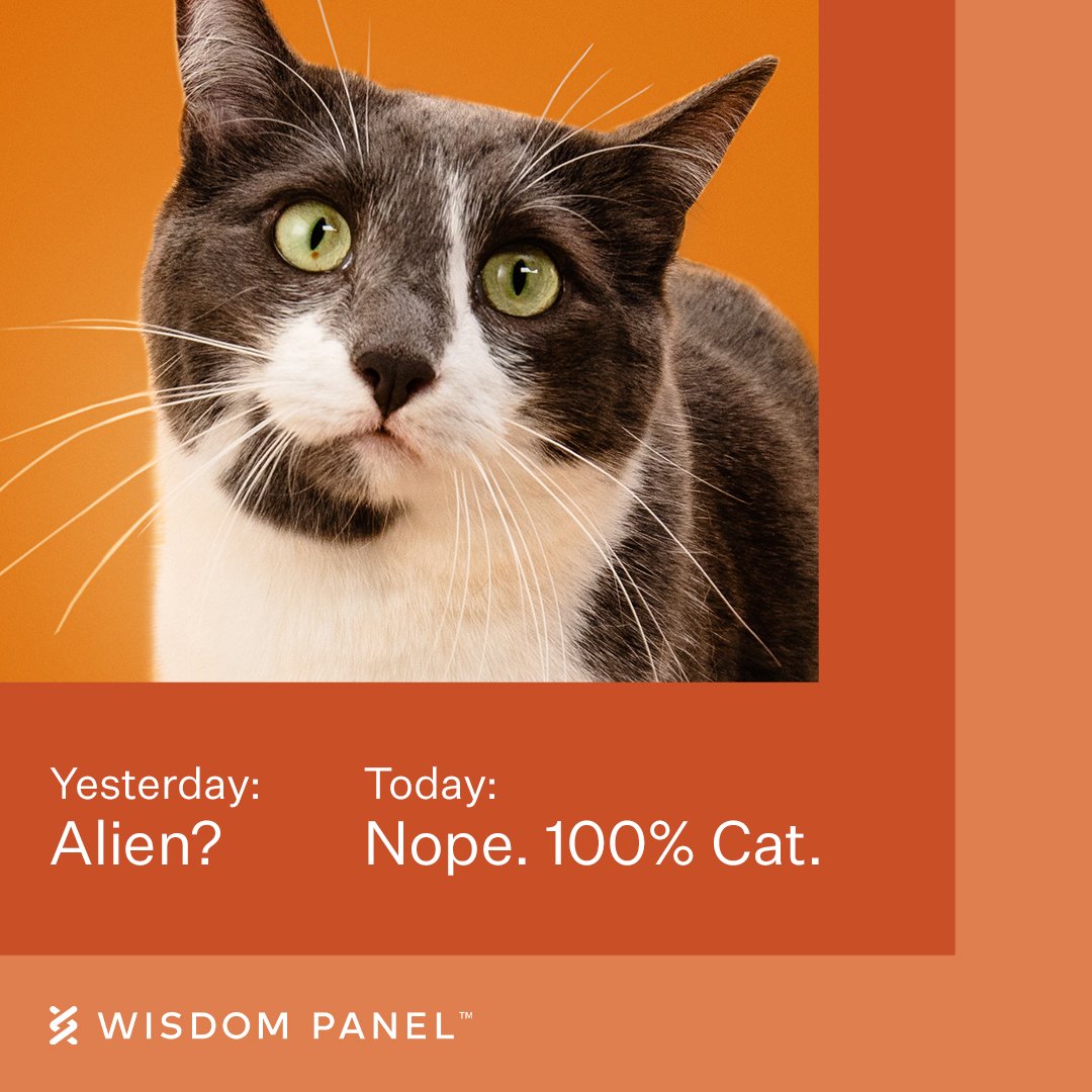 FB-IG_Feed-Alien.jpg