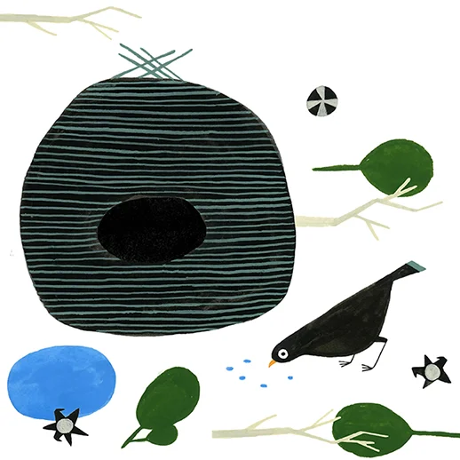 bird_nest_tn.jpg