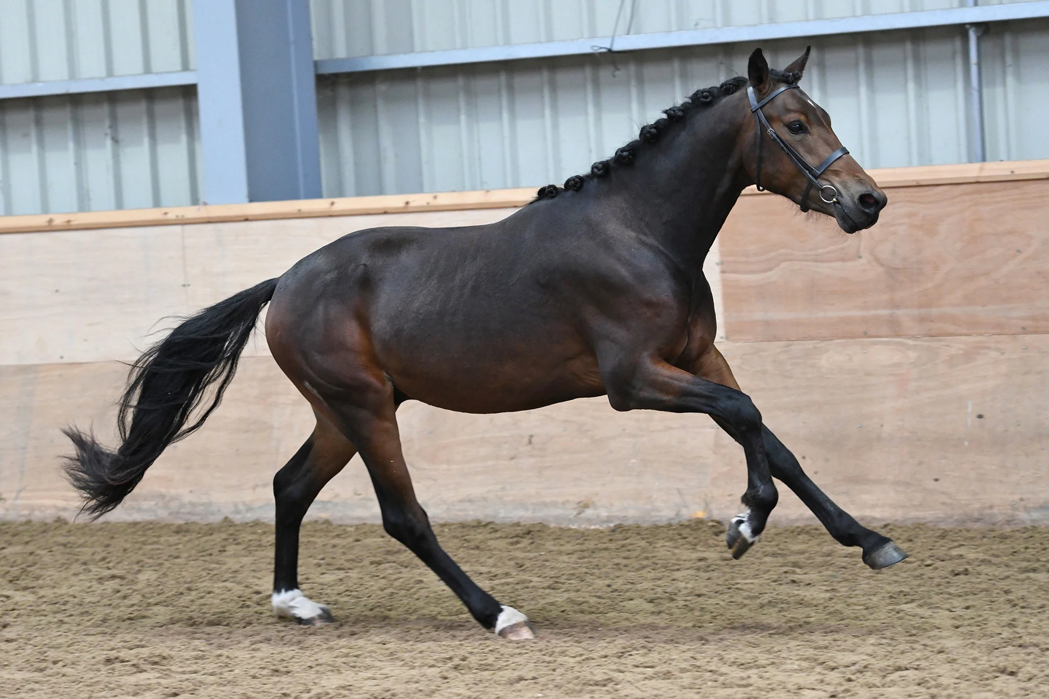 Rafiki-PC5_5926.jpg