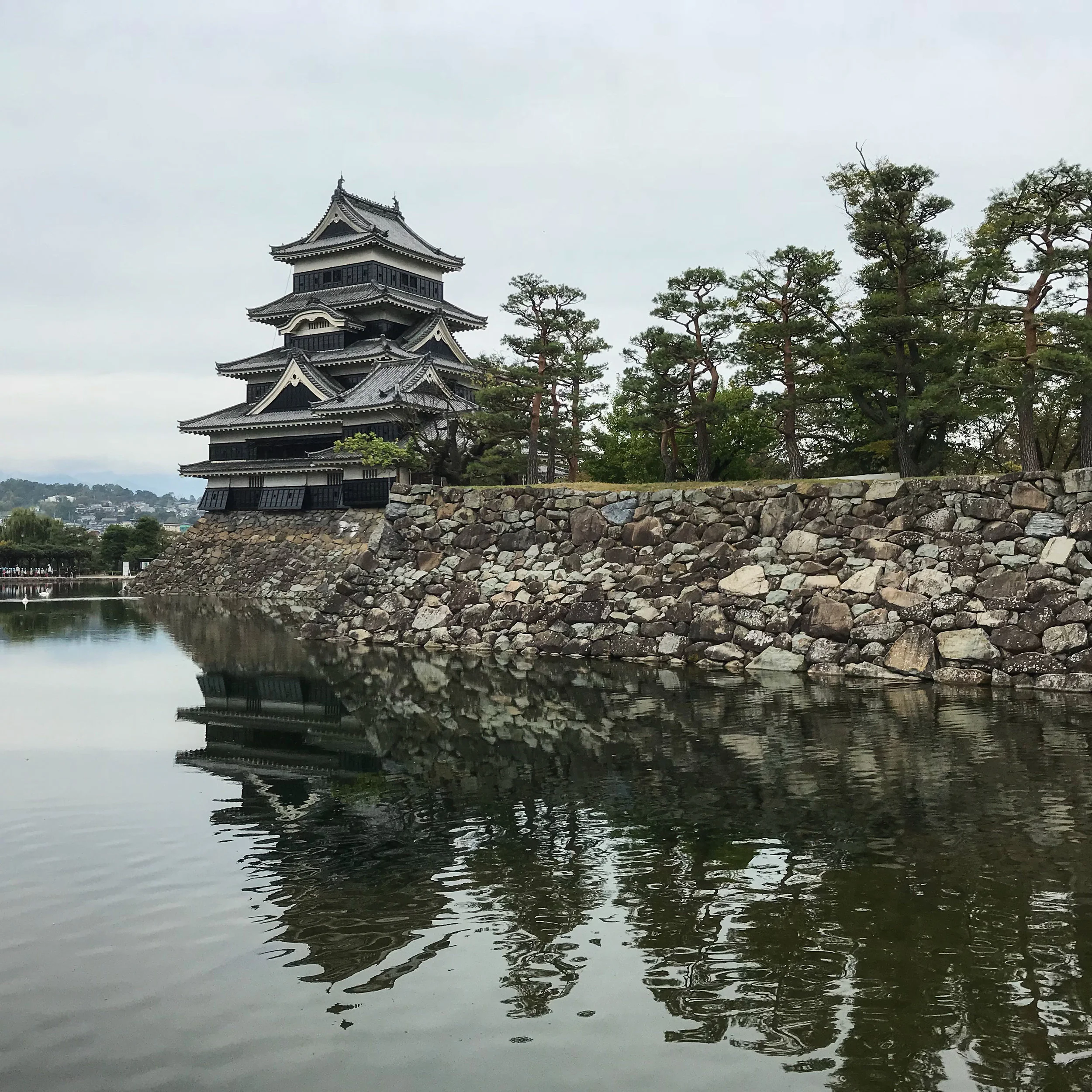 48_H_Matsumoto.jpg