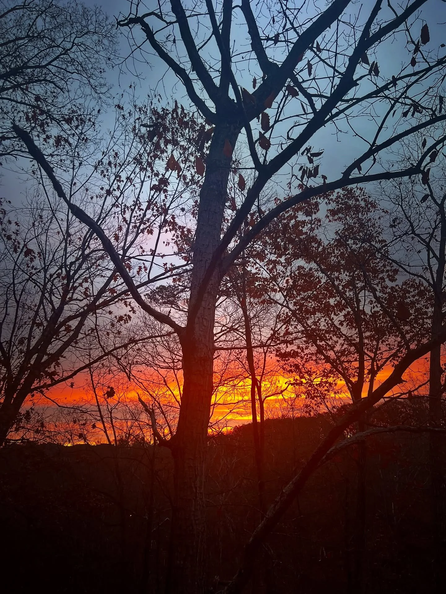 Morning bliss~ 🌄 Extending this dazzling dance of natural color, beauty, and light from my mountain home to yours. Wishing each of you a most lovely day. ✨ #SunriseBeauty