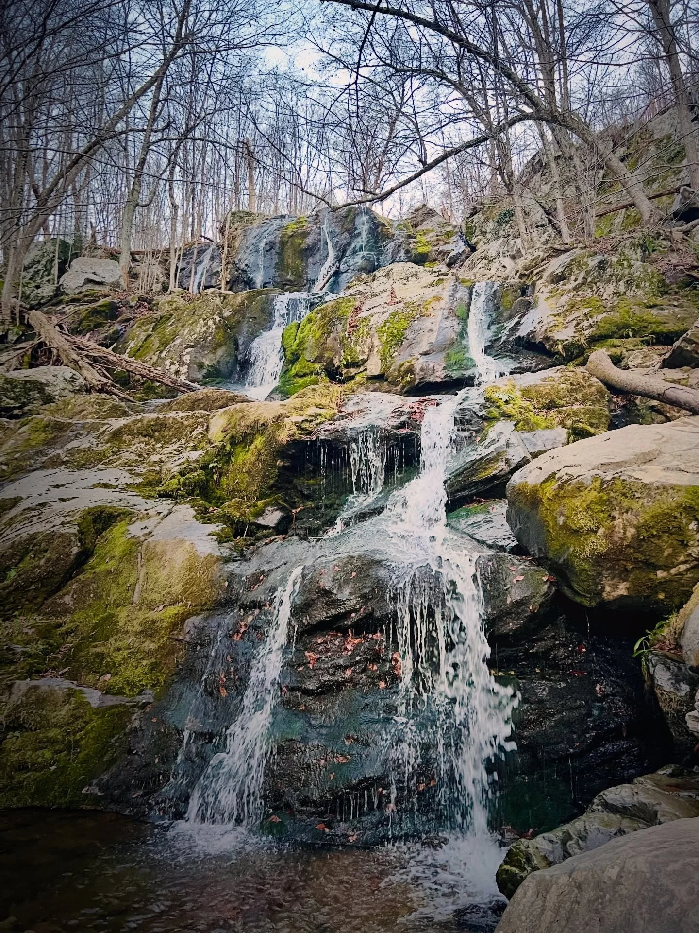 Walking into the earth&rsquo;s womb
Connecting with my heart, my home, my mother
To heal, cleanse, and renew 
Ever so patient
Holding all that I am with the utmost grace, love, and stability
So very grateful
Thank you 

⭐️🌲💦💚💦🌲⭐️