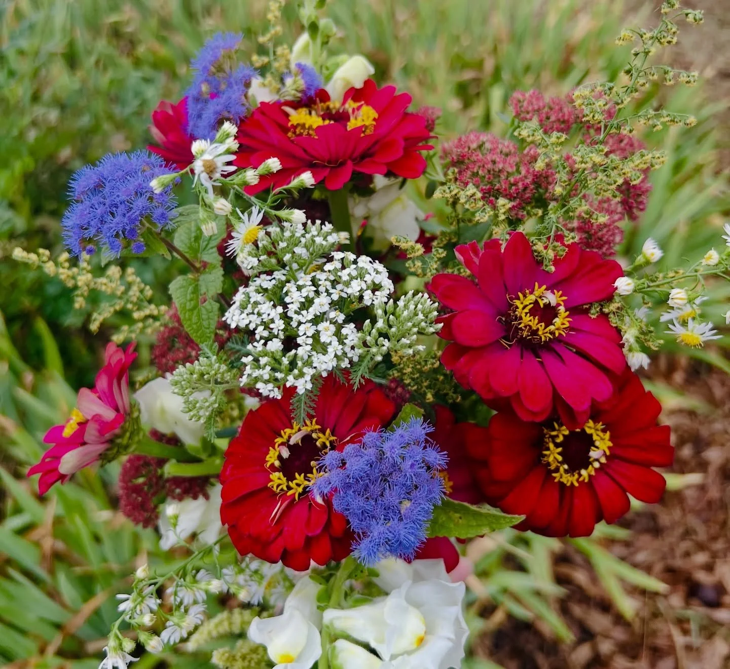 Thank you so much, Jayne, for sharing your recent story of incredible health transformation. Your living example powerfully speaks to what&rsquo;s possible for any woman when she follows her heart and doesn&rsquo;t give up on healing, regardless of a